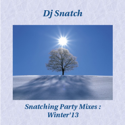 Snatching Party Mixes - Winter &#039;13