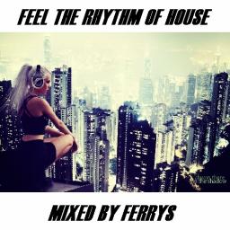 Feel The Rhythm Of House! Mixed by FerryS