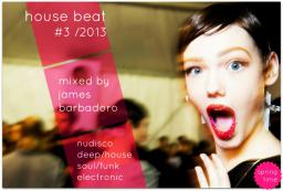 House Beat #3 2013