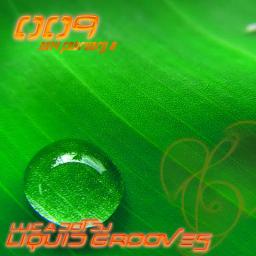 Liquid Grooves 009: Deep Drops