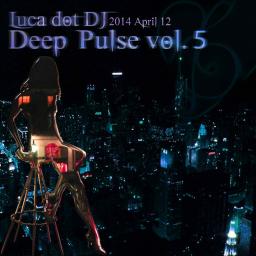 Deep Pulse vol. 5: A Deep Night On Disco