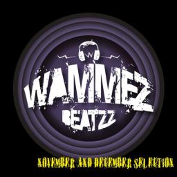 Wammez Beatzz november and december 2013 Selection