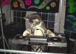 2014-07-23 Hardstyle