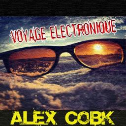 Voyage Electronique