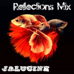 Reflections Mix