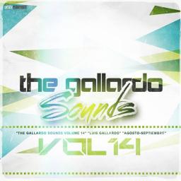 The Gallardo Sounds Volume 14