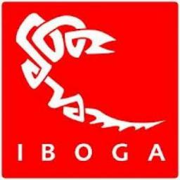 THE IBOGA RECORDS FILE