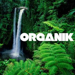 Organik #002