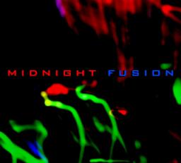 Midnight Fusion