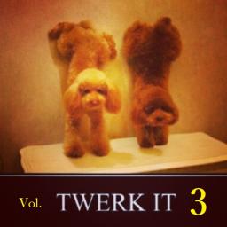 Dj BoogZ pres. &#039;TWERK IT! - Vol.3&#039; - [.BoogZ.Got.That.Bounce.]-[.Hyper.Twerk.Mix.]