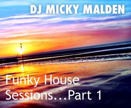 Funky House Sessions....Vol. 1