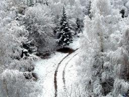 Winter begin