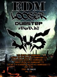 UNLEASHED EDM LOOSER PROMOMIX