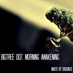 BigTree 007: Morning awakening
