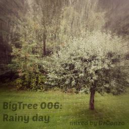 BigTree 006: Rainy day