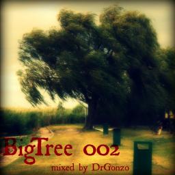 BigTree 002