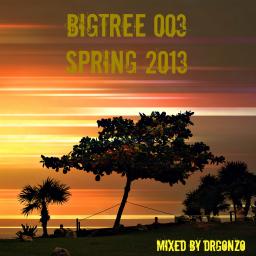 BigTree 003