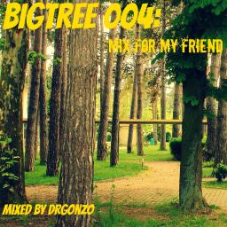 BigTree 004: Mix for my friend