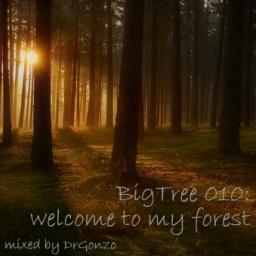 BigTree 010: Welcome to my forest