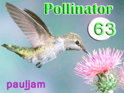 Pollinator_063