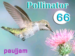 Pollinator_066