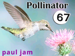 Pollinator_067 