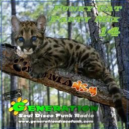 Funky Cat Party Mix #14 (PumaNSM)