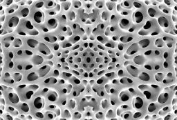 Fusion VisionV.1