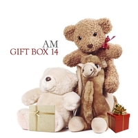 GIFTBOX14