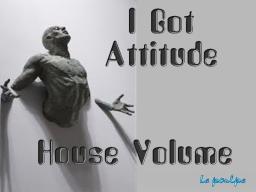 I Got Attitude