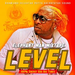 LEVEL (Elephant Man Mixtape)