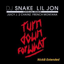Dj Snake Feat. Lil Jon, Juicy J, 2 Chainz &amp; French Montana - Turn Down For What Remix [NickB Extended]