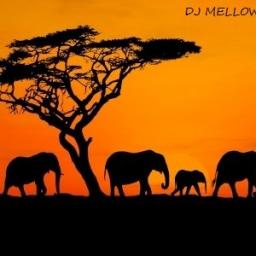 Sunday Trip to Soulful Afro House