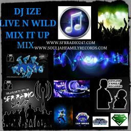 DJ - LIVE N WILD MIX AGAIN 