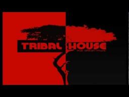 Top  House Mix (2008)
