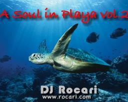 A Soul in Playa vol.2 (tech-house)