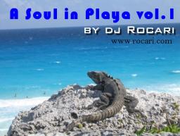 A Soul In Playa vol.1 (tech-house)