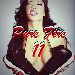 Pure Fire 11 Mixtape Rap Hits