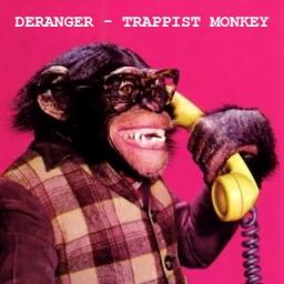 Trappist Monkey