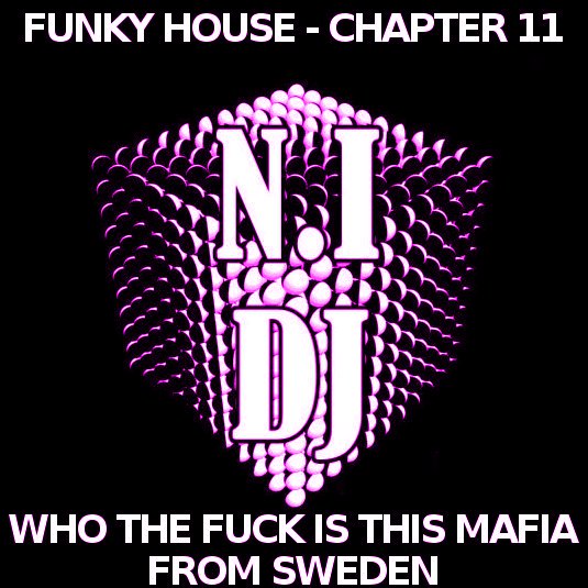 WHO THE FUCK by N.I DJ