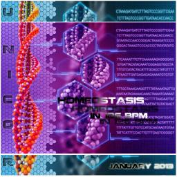 Homeostasis In 126 bpm [January 2013]