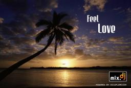 Feel Love