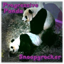 Progressive Panda