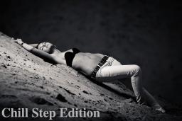 ChillOut Session XIII - Chill Step Edition