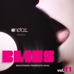 BL1SS vol.11