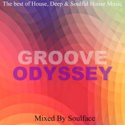 Soulface In The House - Groove Odyssey Vol2