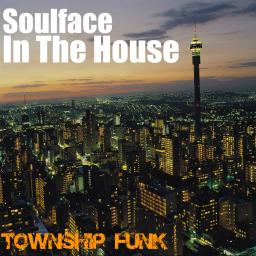 Soulface In The House - Township Funk Vol5