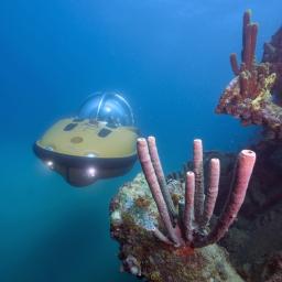 Deep Discovery