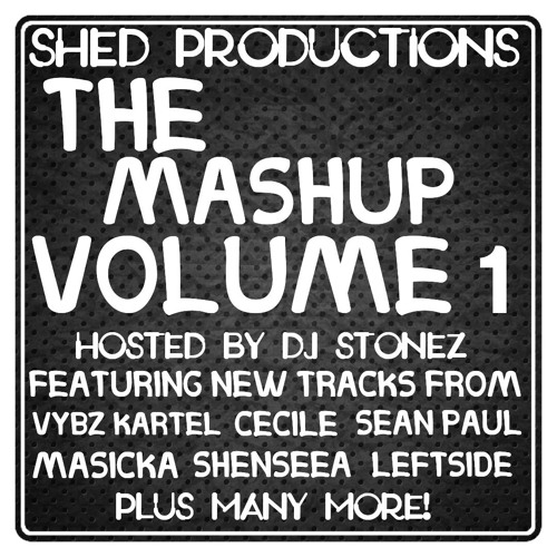 THE MASHUP VOLUME 1 by DJ STONEZ