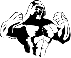October 20, 2016